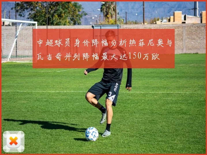 中超球员身价降幅分析热菲尼奥与瓦吉奇并列降幅最大达150万欧