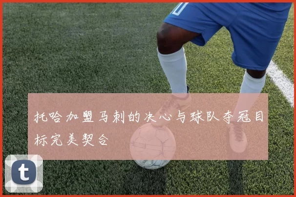 托哈加盟马刺的决心与球队夺冠目标完美契合