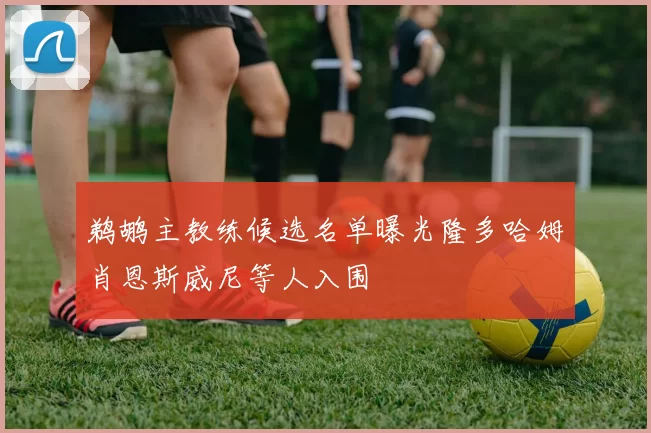鹈鹕主教练候选名单曝光隆多哈姆肖恩斯威尼等人入围